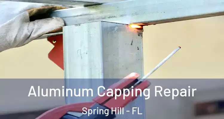 Aluminum Capping Repair Spring Hill - FL