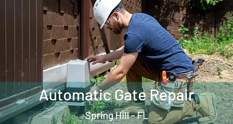 Automatic Gate Repair Spring Hill - FL