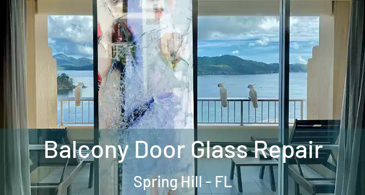 Balcony Door Glass Repair Spring Hill - FL