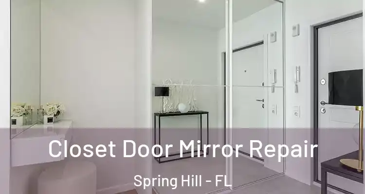 Closet Door Mirror Repair Spring Hill - FL