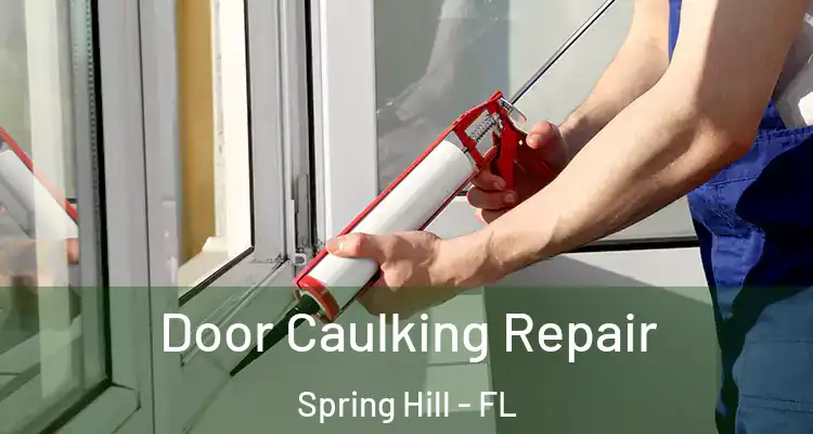 Door Caulking Repair Spring Hill - FL