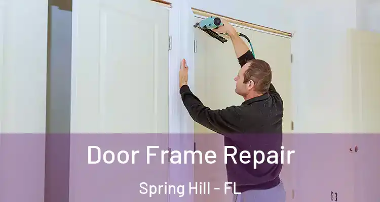 Door Frame Repair Spring Hill - FL