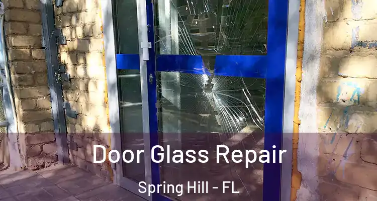 Door Glass Repair Spring Hill - FL