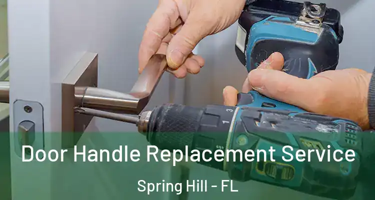 Door Handle Replacement Service Spring Hill - FL