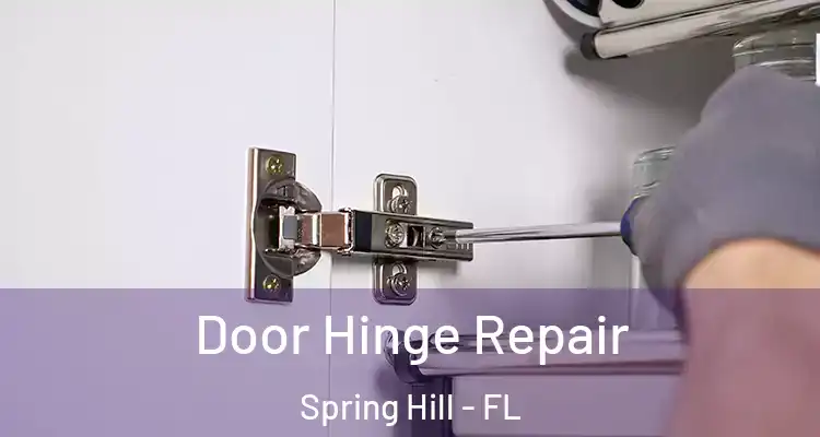Door Hinge Repair Spring Hill - FL