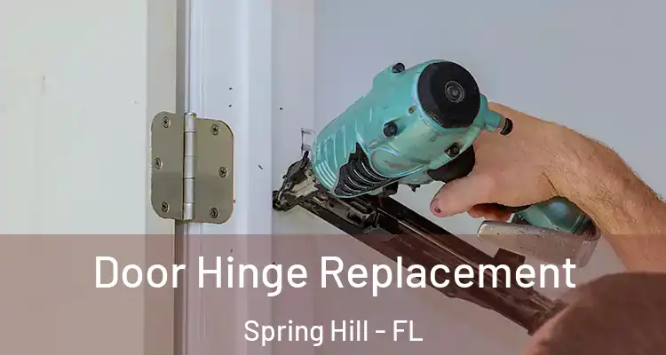 Door Hinge Replacement Spring Hill - FL