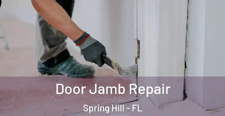 Door Jamb Repair Spring Hill - FL
