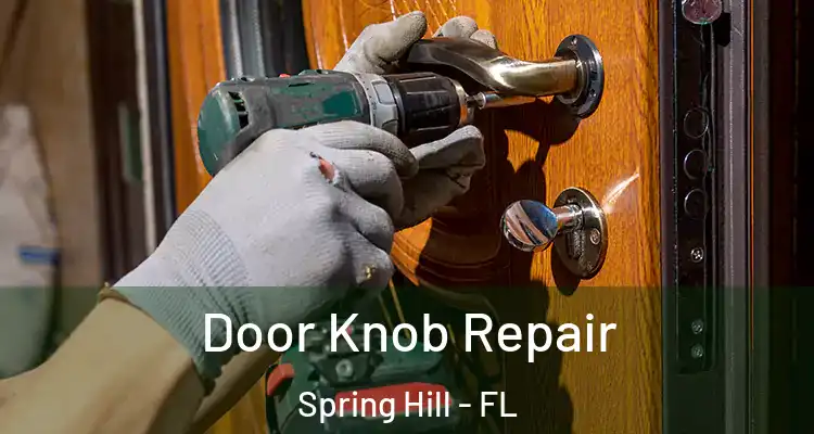 Door Knob Repair Spring Hill - FL