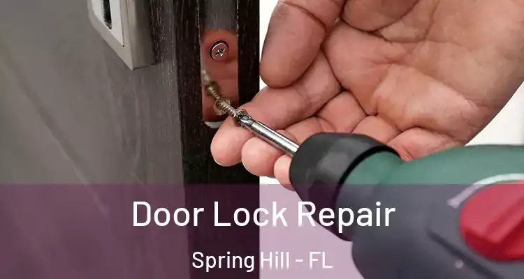Door Lock Repair Spring Hill - FL