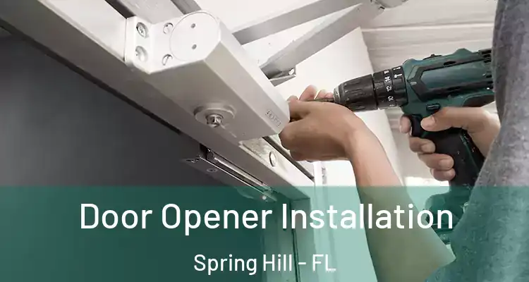 Door Opener Installation Spring Hill - FL