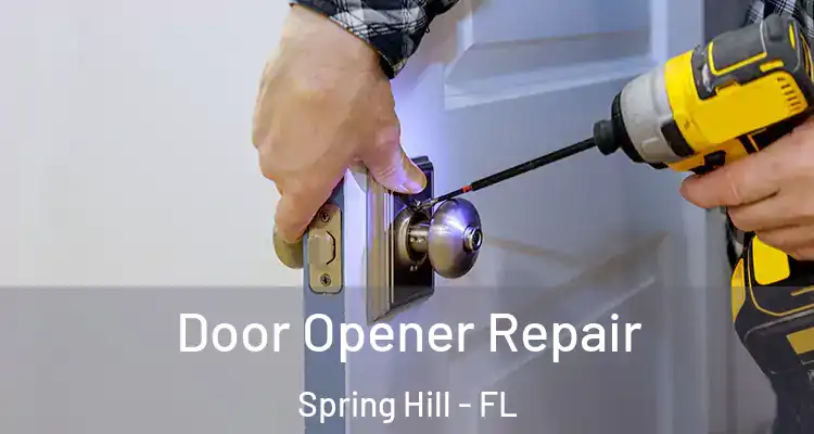 Door Opener Repair Spring Hill - FL
