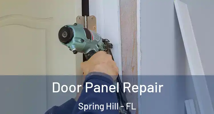 Door Panel Repair Spring Hill - FL