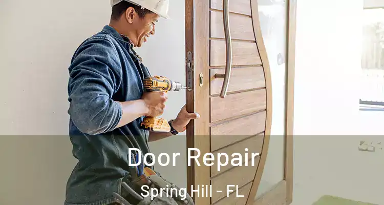 Door Repair Spring Hill - FL