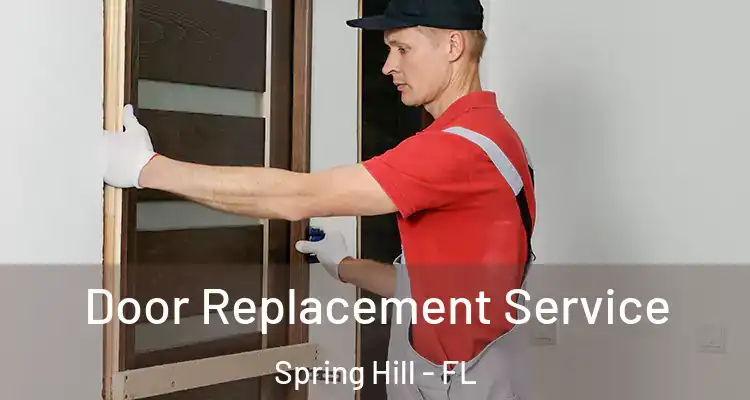 Door Replacement Service Spring Hill - FL