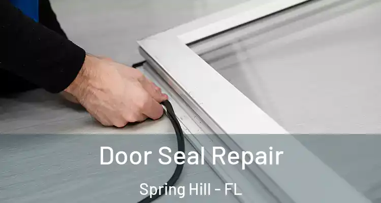 Door Seal Repair Spring Hill - FL