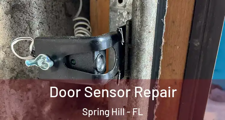 Door Sensor Repair Spring Hill - FL