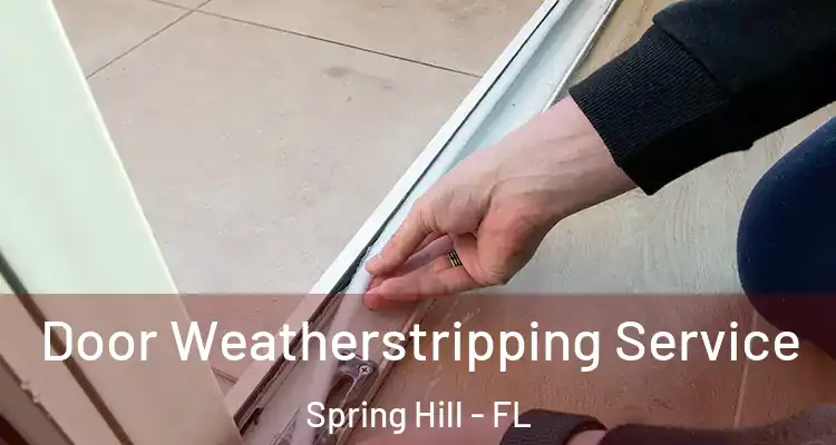Door Weatherstripping Service Spring Hill - FL