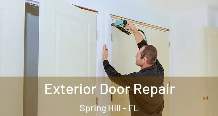 Exterior Door Repair Spring Hill - FL
