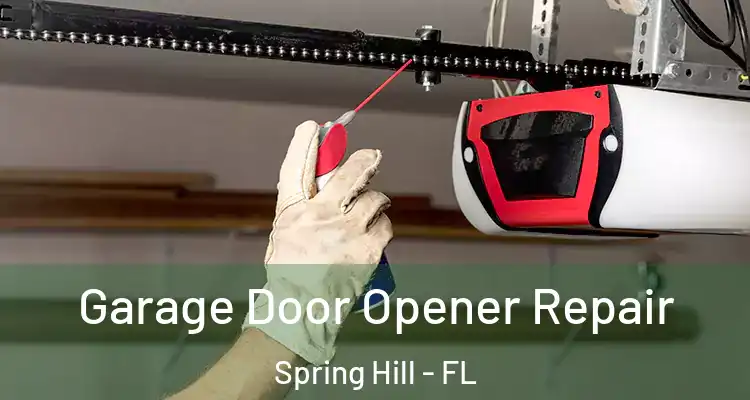 Garage Door Opener Repair Spring Hill - FL
