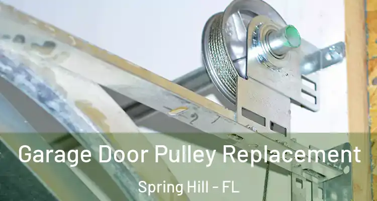 Garage Door Pulley Replacement Spring Hill - FL