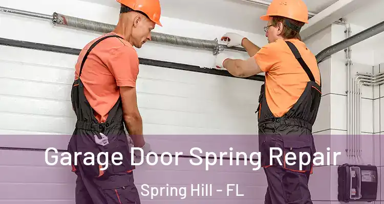 Garage Door Spring Repair Spring Hill - FL