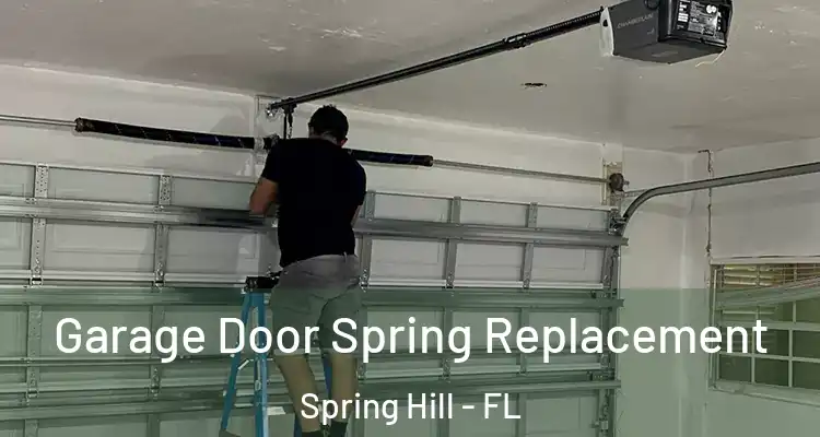 Garage Door Spring Replacement Spring Hill - FL