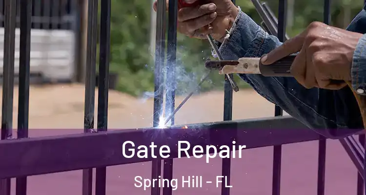 Gate Repair Spring Hill - FL
