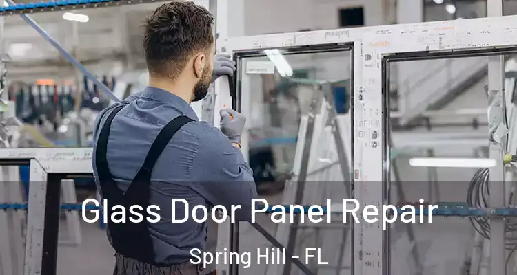 Glass Door Panel Repair Spring Hill - FL