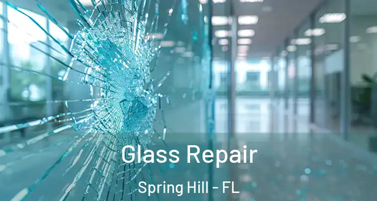 Glass Repair Spring Hill - FL