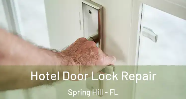 Hotel Door Lock Repair Spring Hill - FL