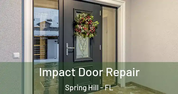 Impact Door Repair Spring Hill - FL