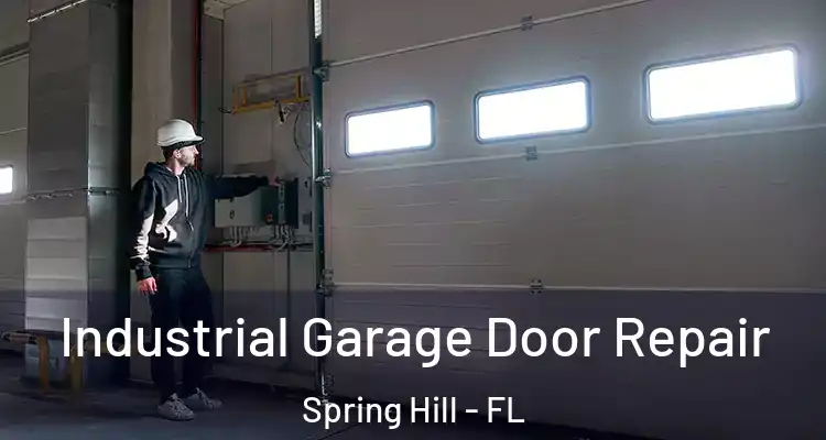 Industrial Garage Door Repair Spring Hill - FL