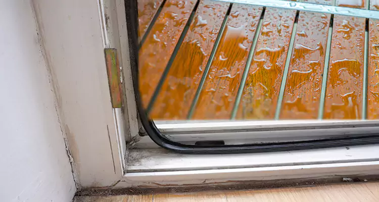 Water Leaking Wooden Patio Doors Repair in Spring Hill, FL