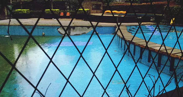 Lanai Screen Repair in Spring Hill, FL