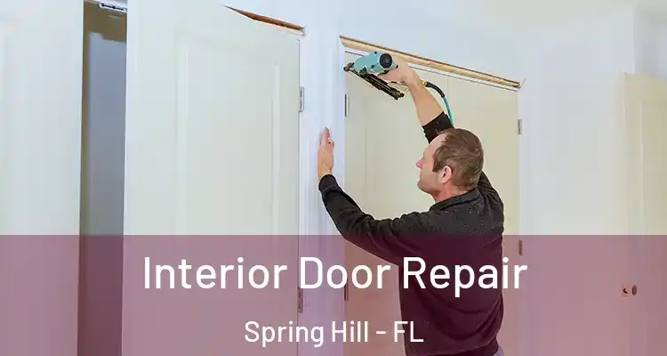 Interior Door Repair Spring Hill - FL