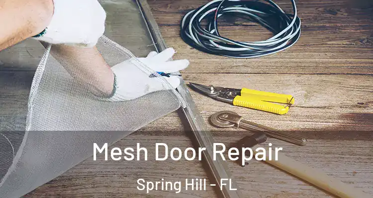 Mesh Door Repair Spring Hill - FL