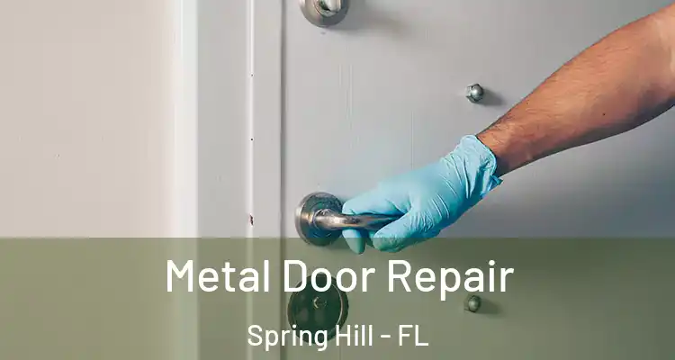 Metal Door Repair Spring Hill - FL