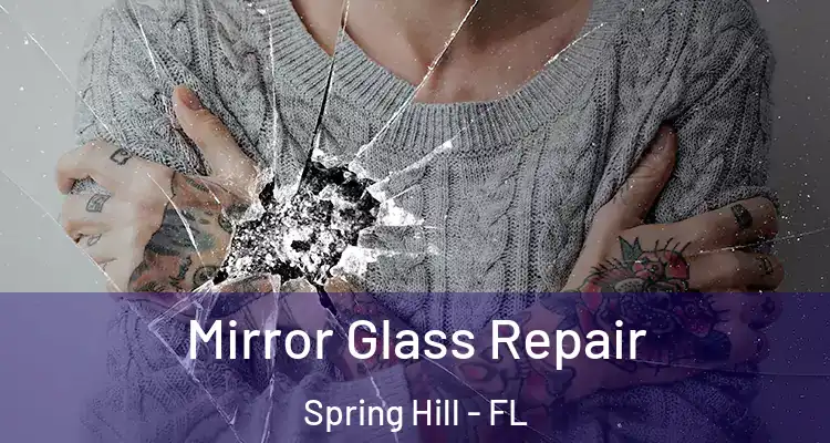 Mirror Glass Repair Spring Hill - FL