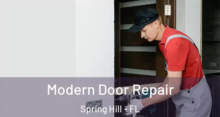 Modern Door Repair Spring Hill - FL