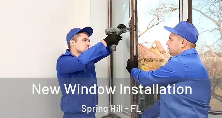 New Window Installation Spring Hill - FL