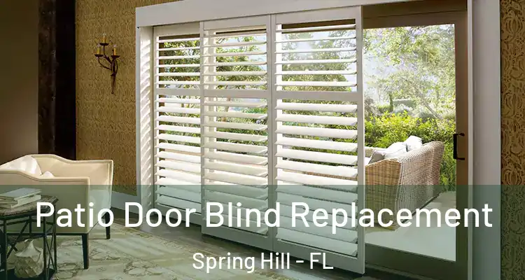 Patio Door Blind Replacement Spring Hill - FL