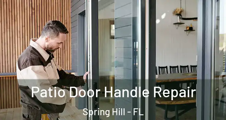 Patio Door Handle Repair Spring Hill - FL