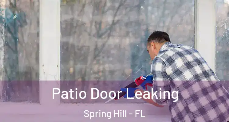 Patio Door Leaking Spring Hill - FL