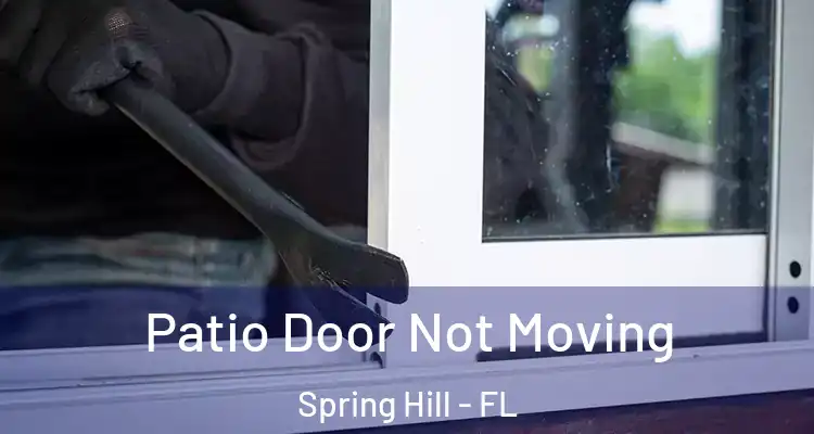 Patio Door Not Moving Spring Hill - FL