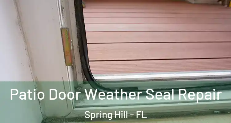 Patio Door Weather Seal Repair Spring Hill - FL