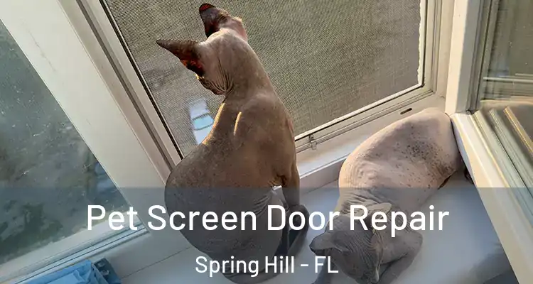 Pet Screen Door Repair Spring Hill - FL