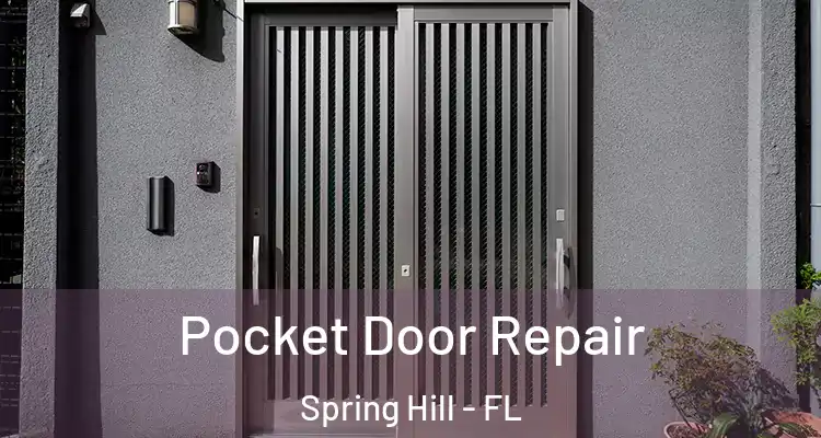  Pocket Door Repair Spring Hill - FL