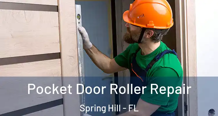 Pocket Door Roller Repair Spring Hill - FL