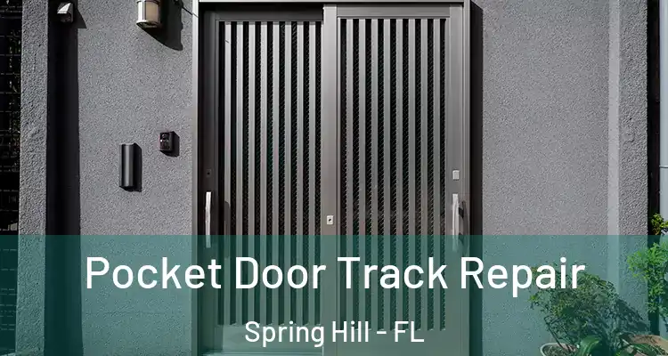 Pocket Door Track Repair Spring Hill - FL