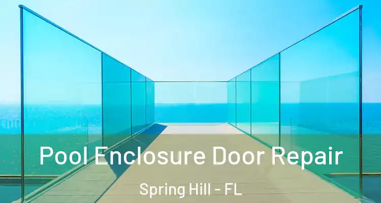 Pool Enclosure Door Repair Spring Hill - FL
